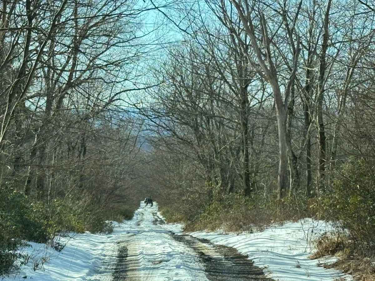Little Flat Tower Road photo 5