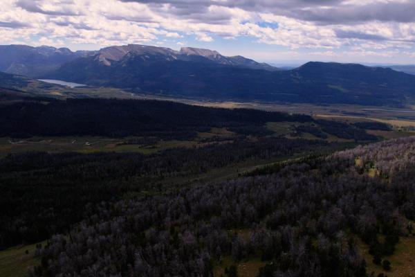 Grind up Pinon Pass