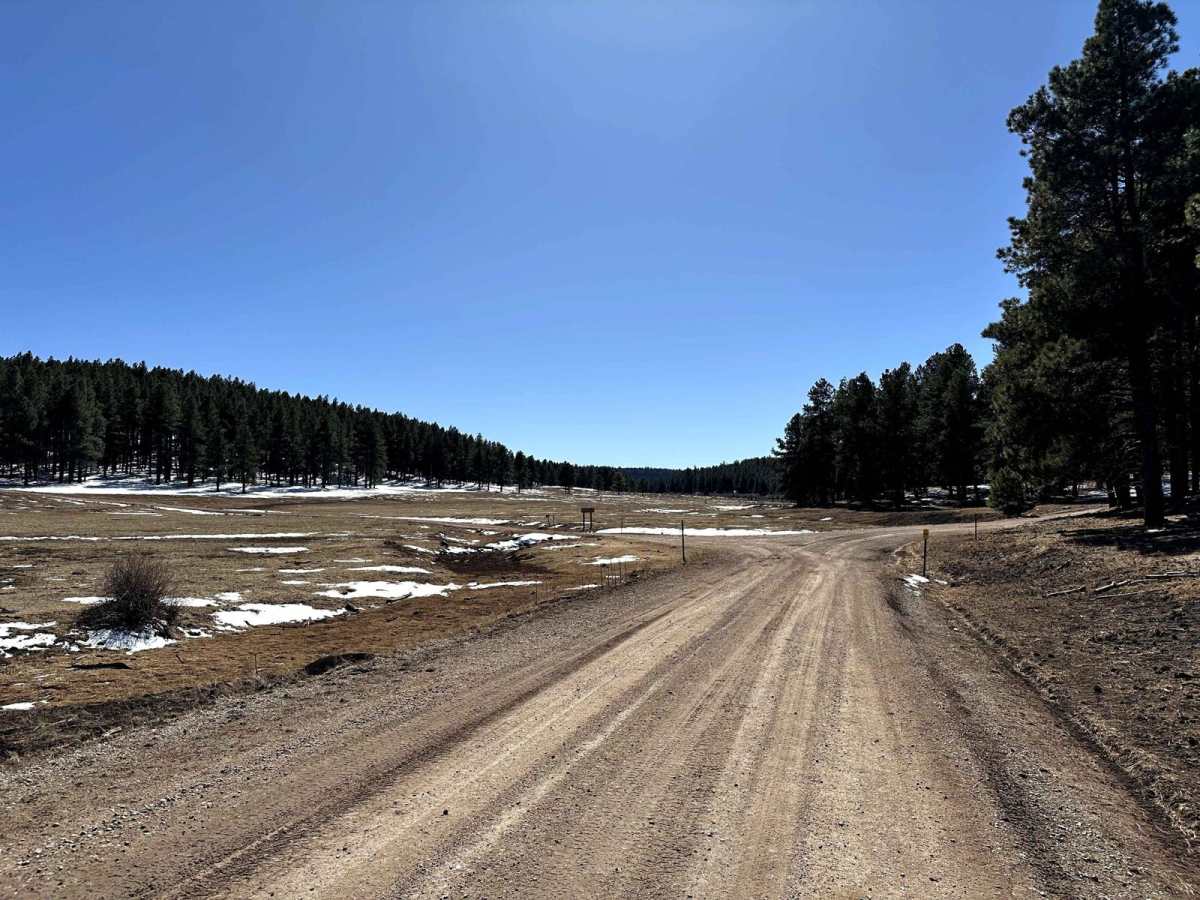 Run to Rio Puerco Campground trail photo