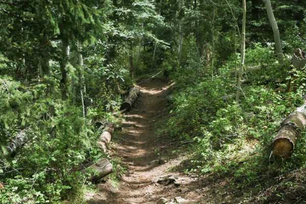 Chicken Creek Trail