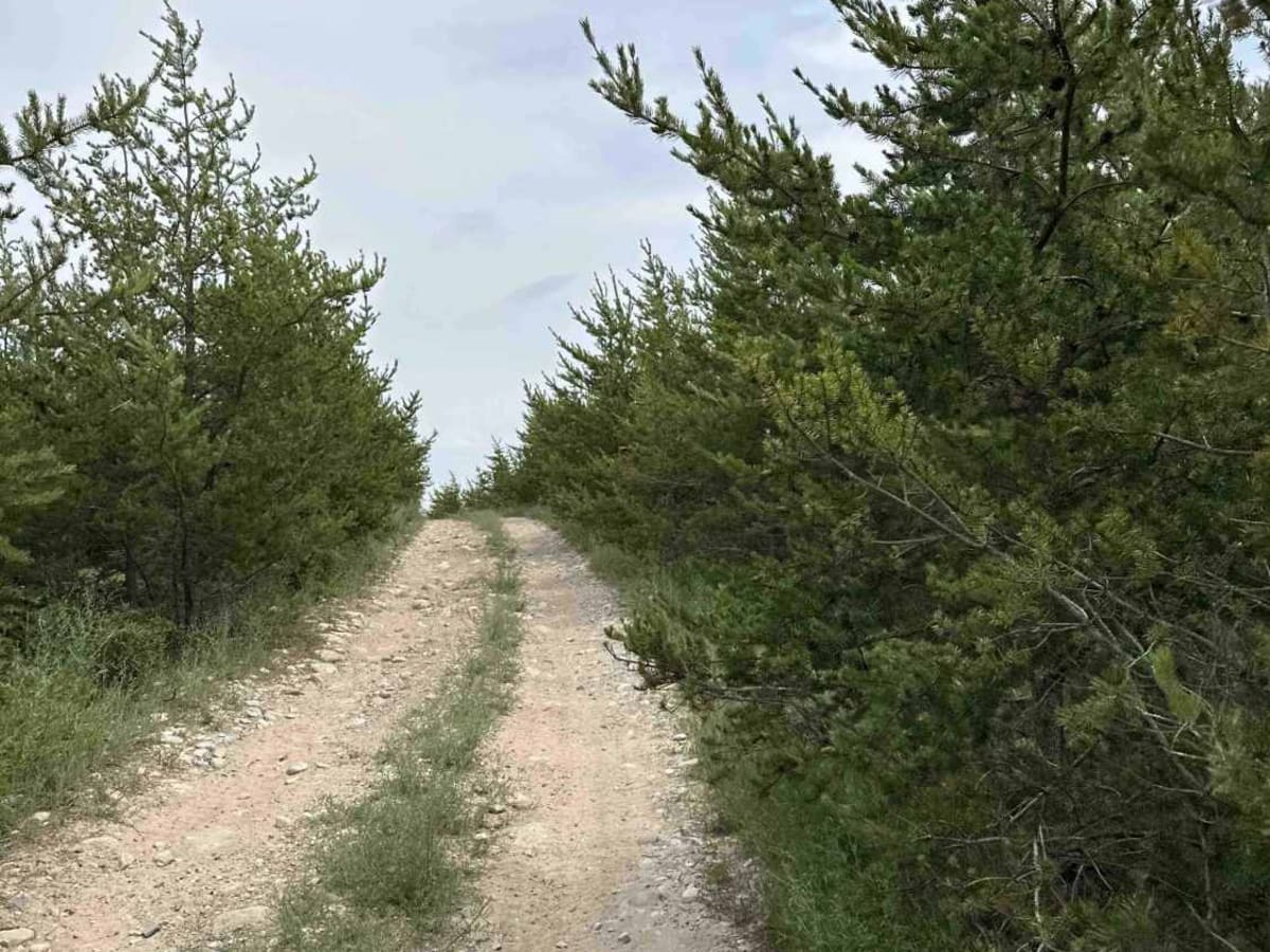 County Road 412 West photo 5