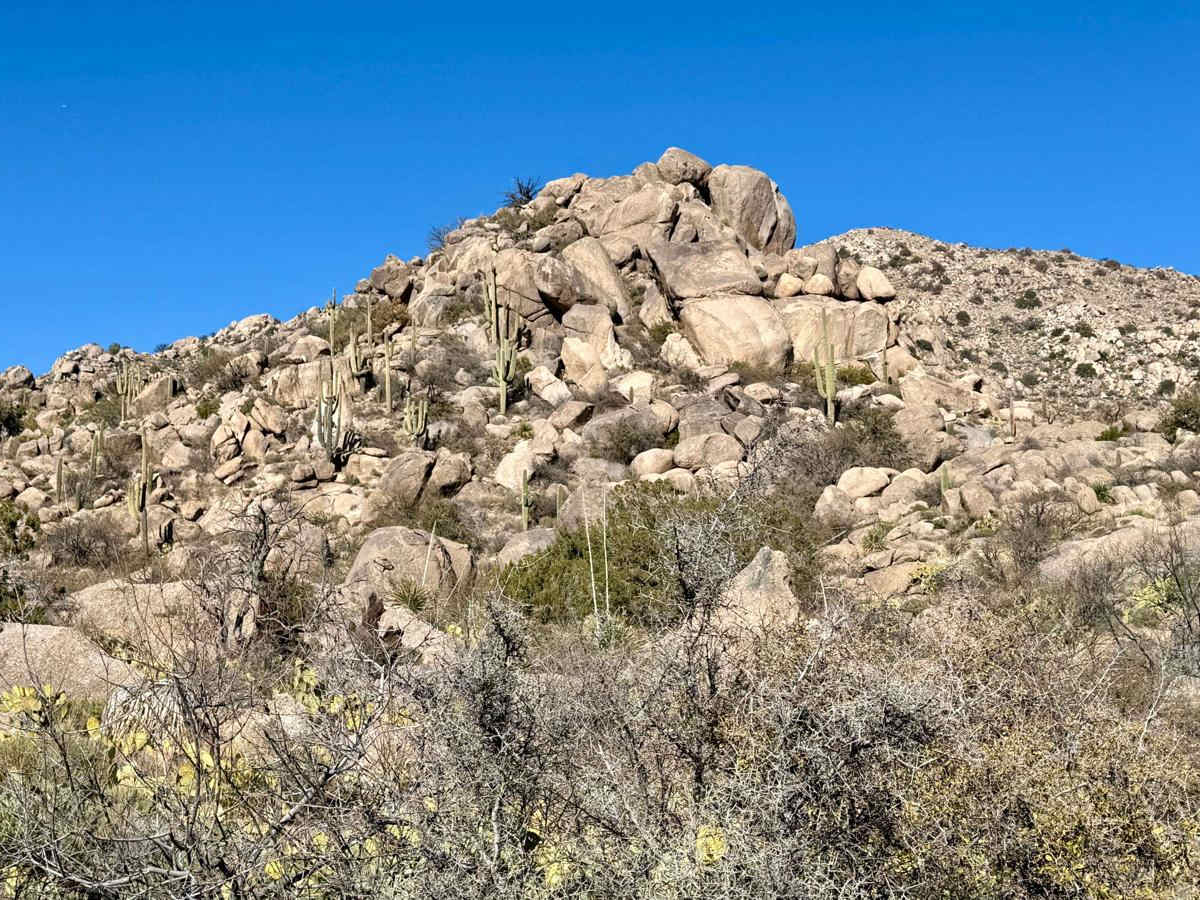 Miller Wash to the Lumpy Rocks trail photo