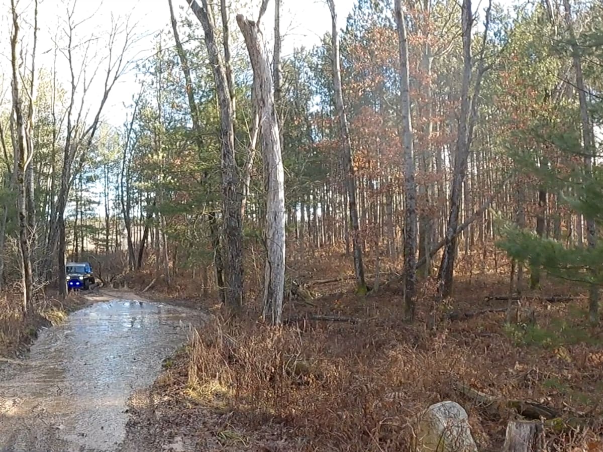 Wooded Trail Outside of Tin Cup photo 5