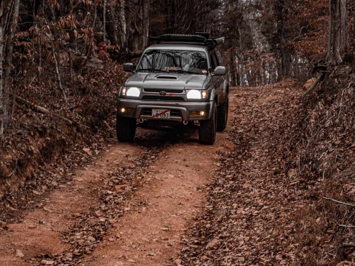 Ben Fly Road photo 5