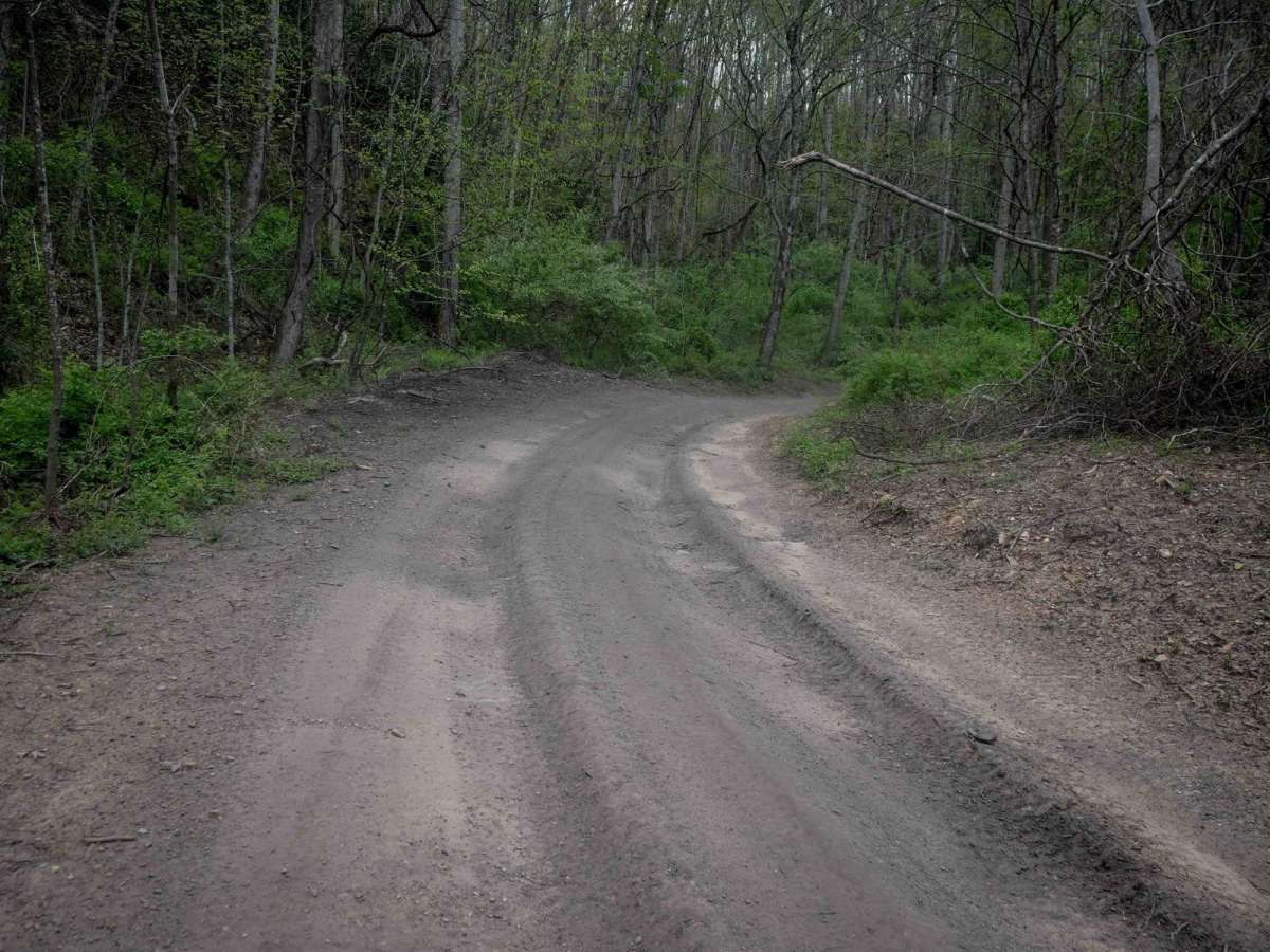 P64 photo 6