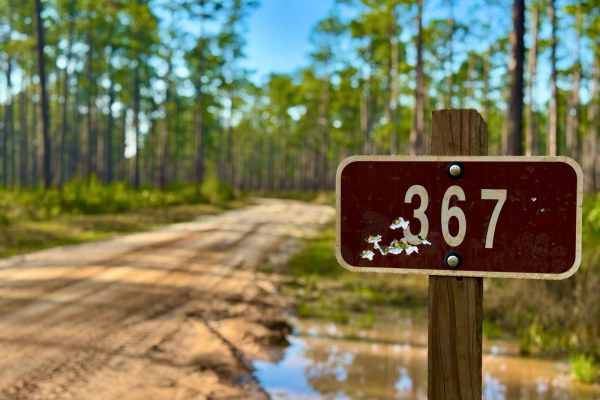 Gibson Trail- FS 367