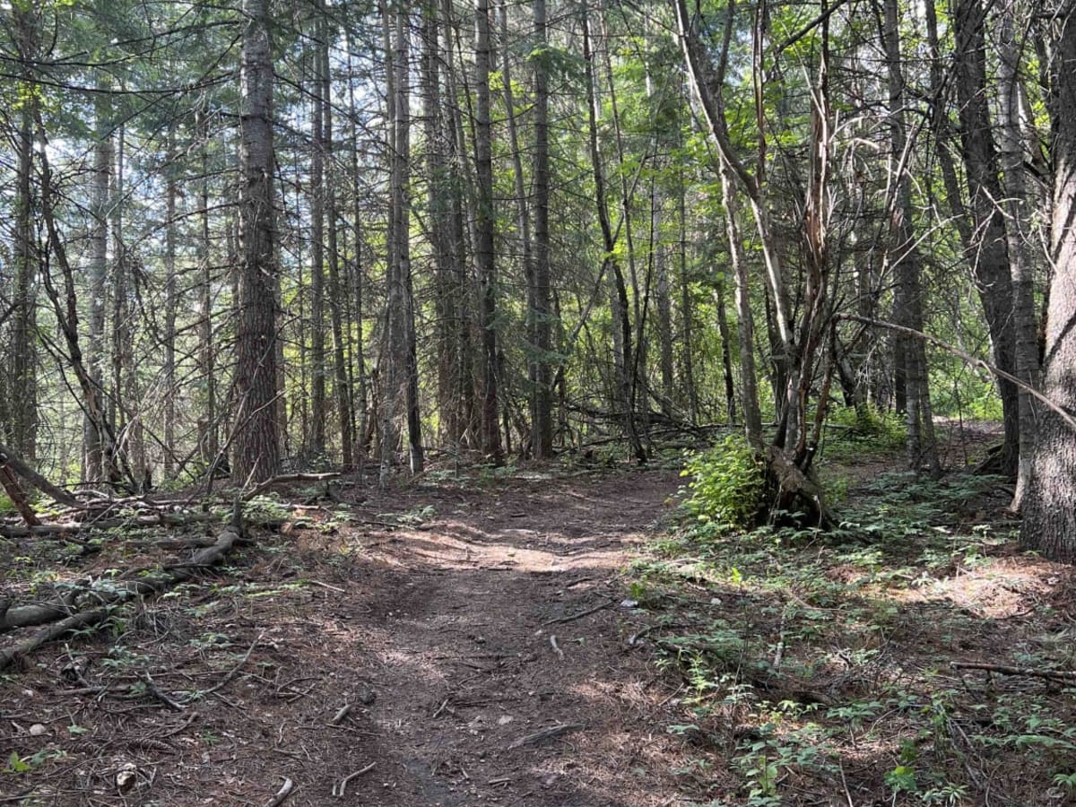 Jewel Gulch - 103 photo 3