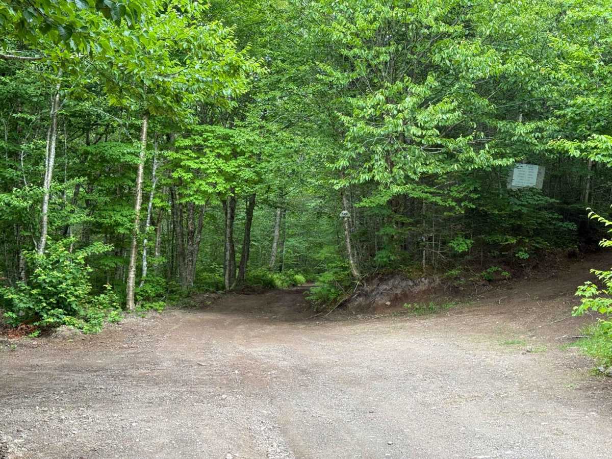 Gillanders Mountain Road East photo 6