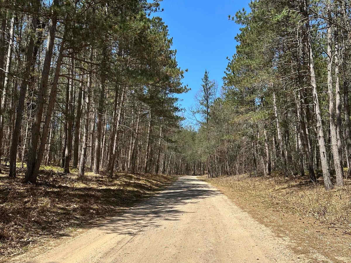 Cadillac Area ORV/OHV Scenic Ride - Part 16 photo 4