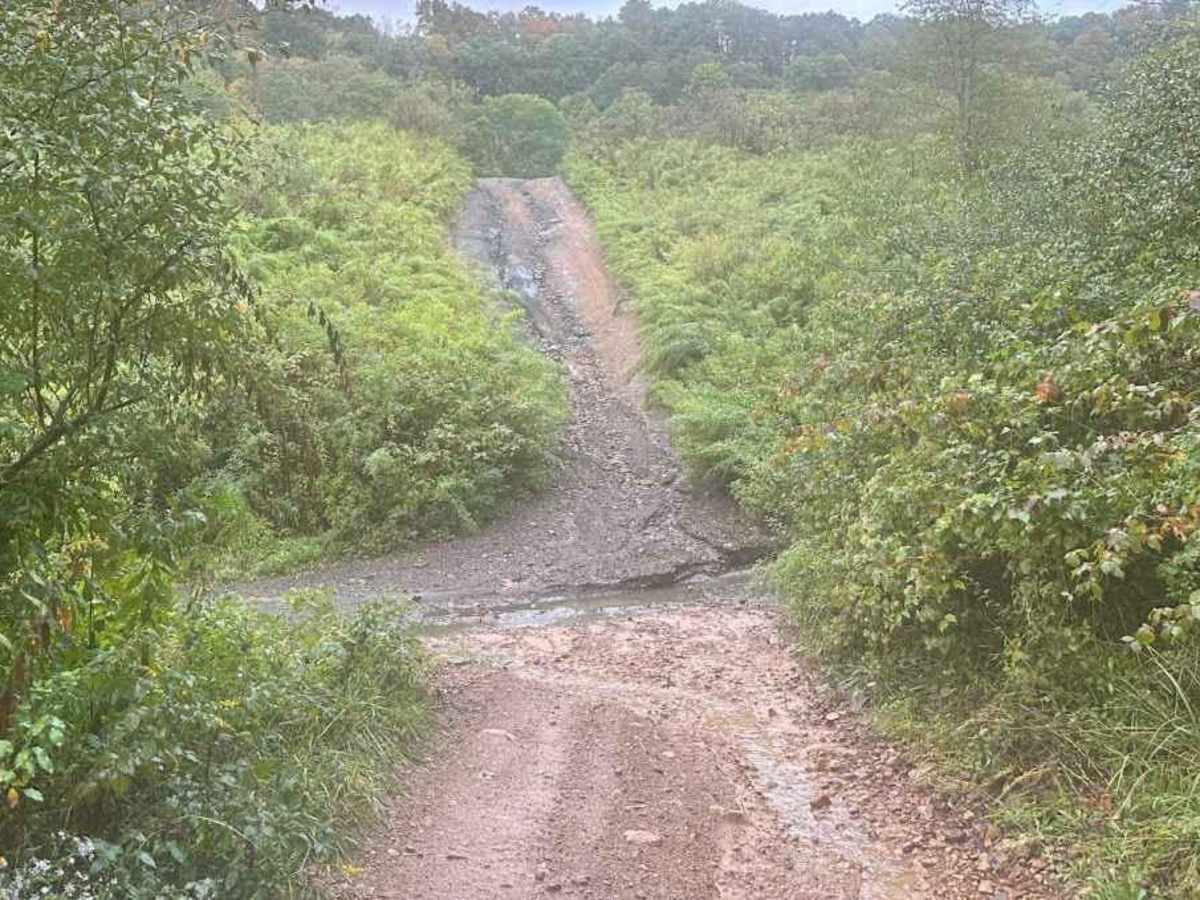 12 Green trail photo