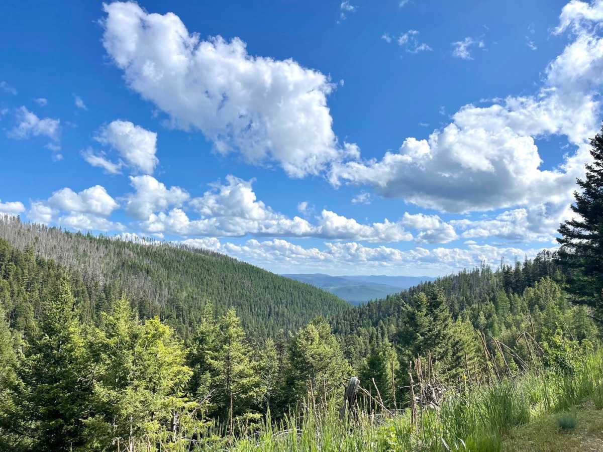 Black Canyon photo 6
