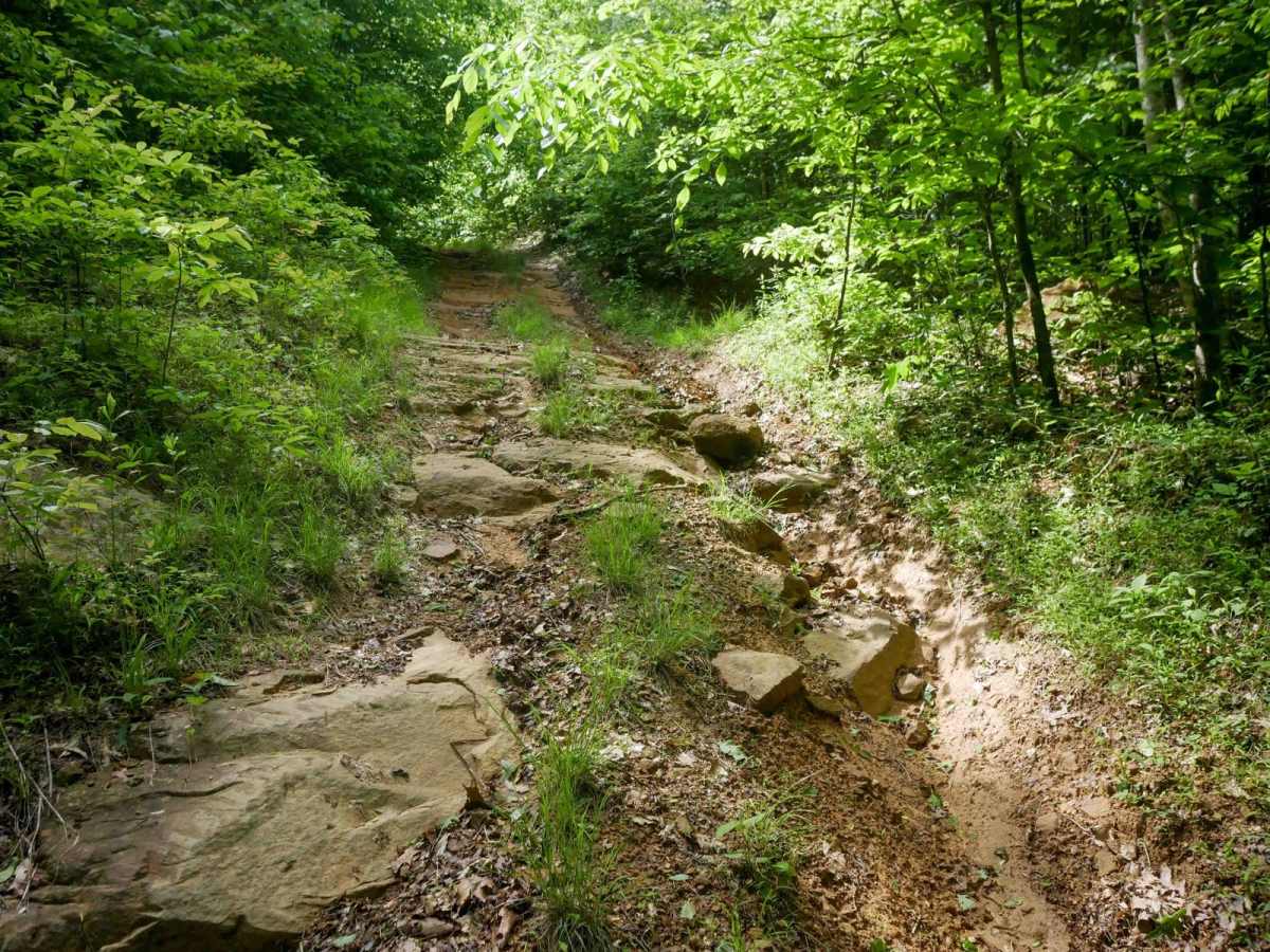 RV63 trail photo