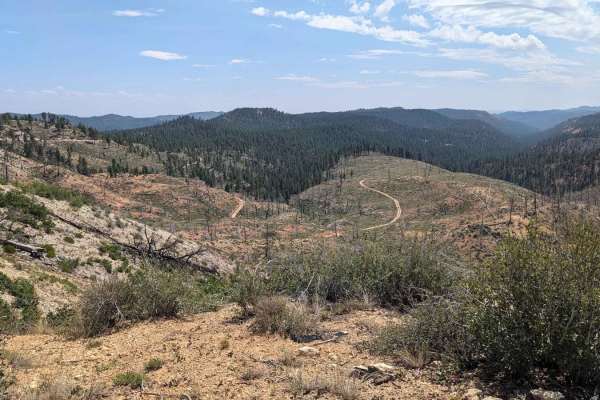 Stout Ridge