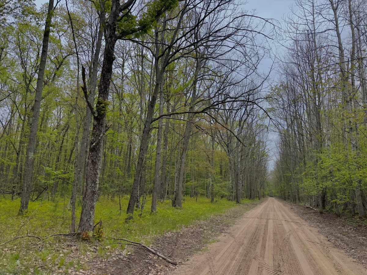 8 Mile Road photo 2