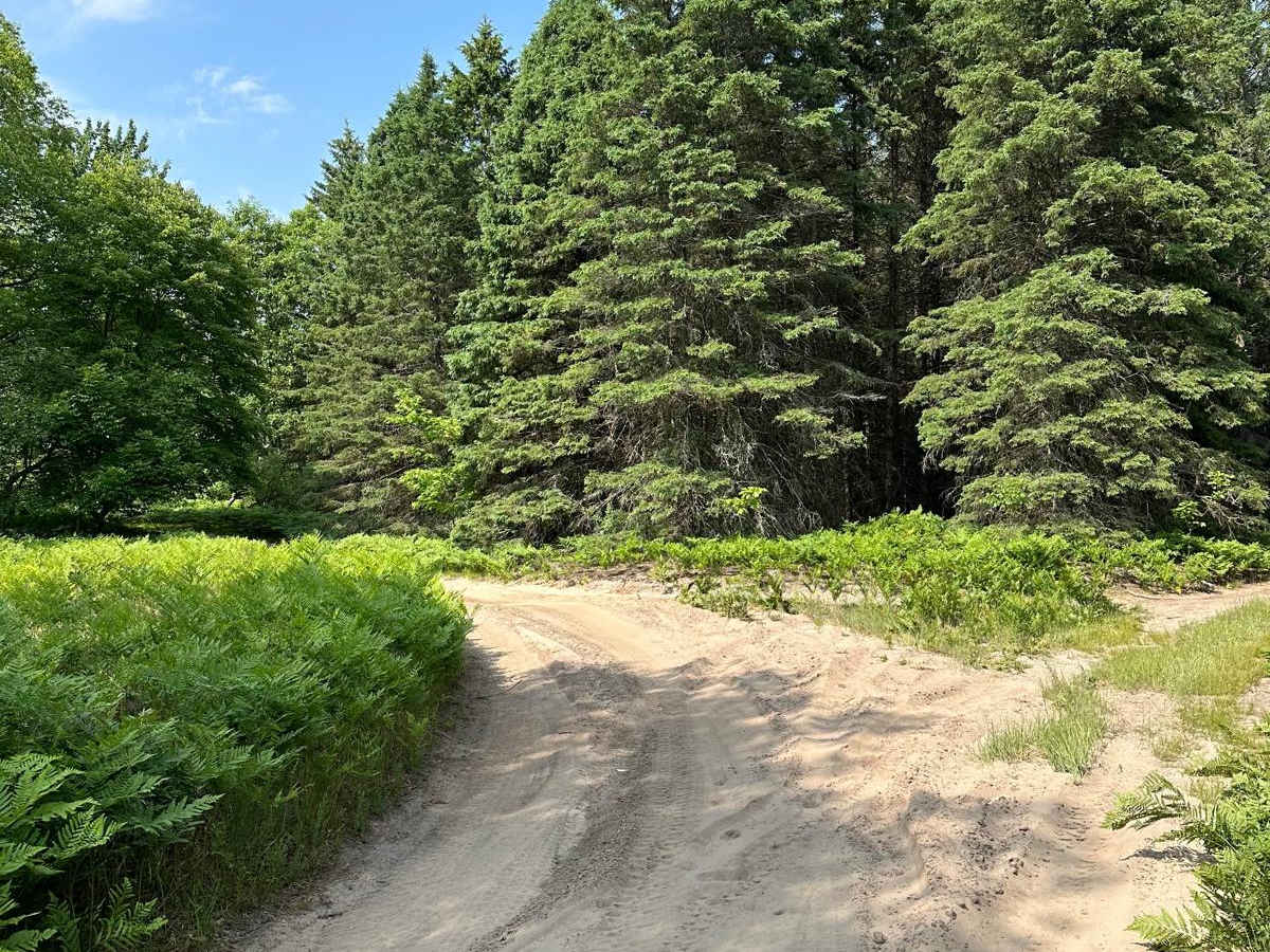 Grass Lake Dam Part 2 trail photo