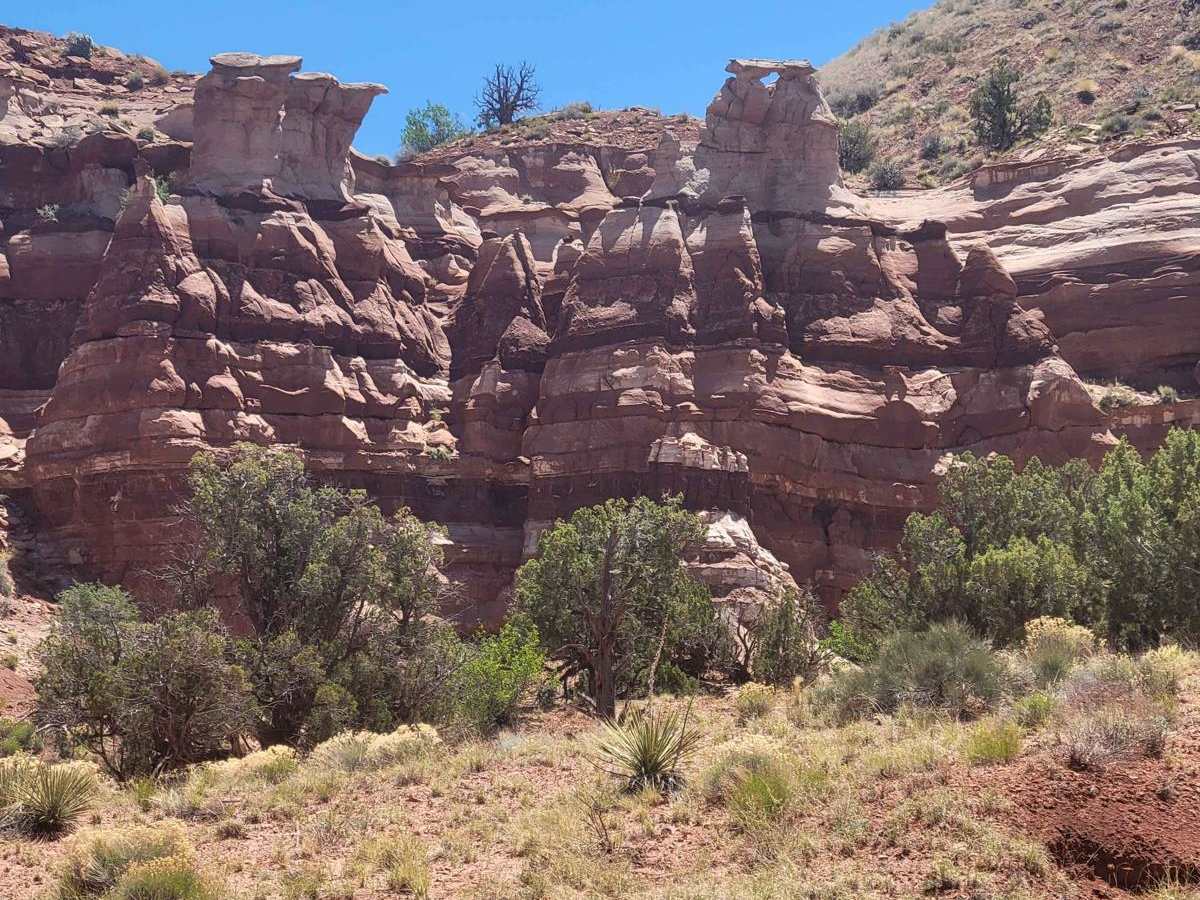 Cobra Arch and Middle Route to Buckskin Gulch photo 5