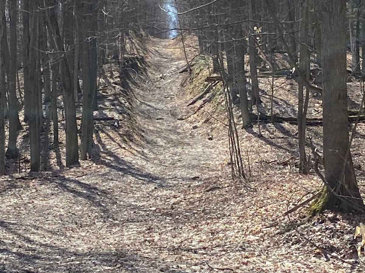 Creemore Run photo 3
