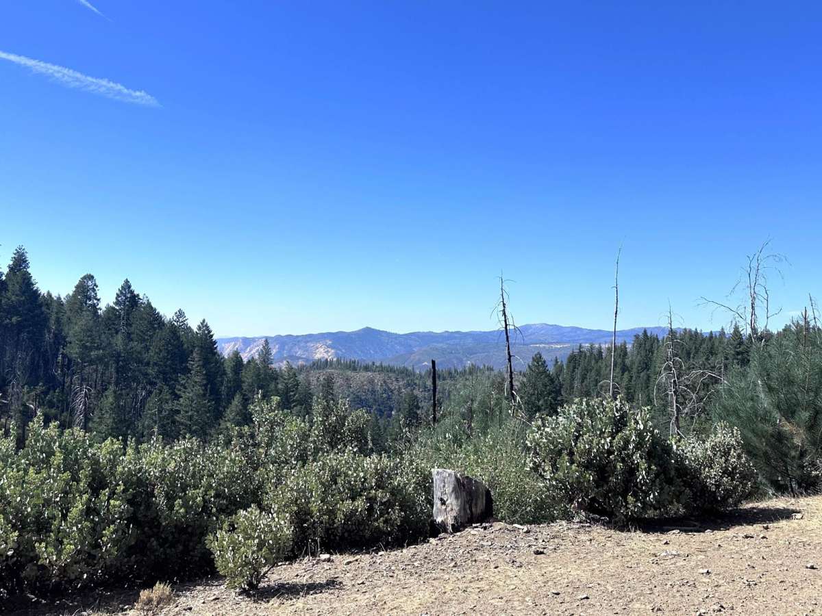 Packard Canyon Road photo 5