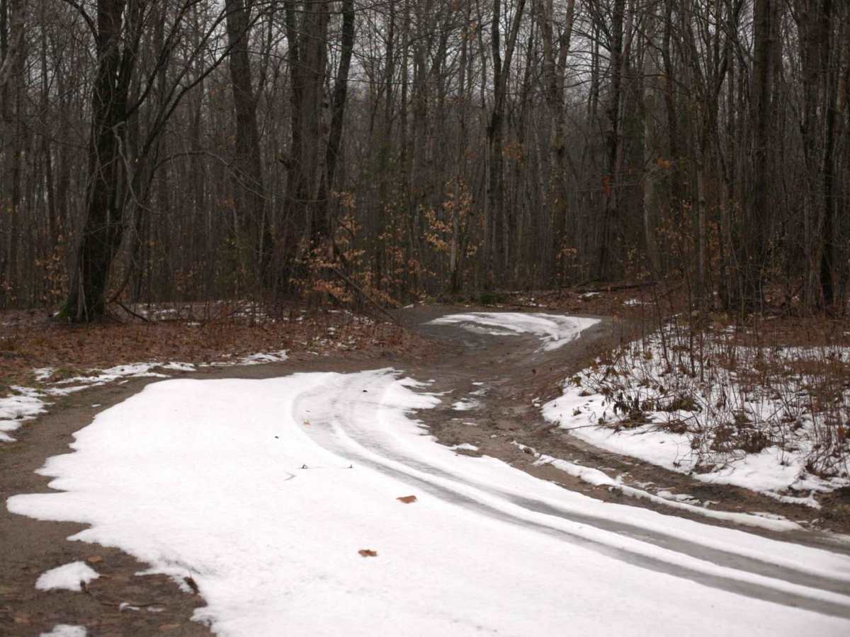Naomikong Point Trail photo 3