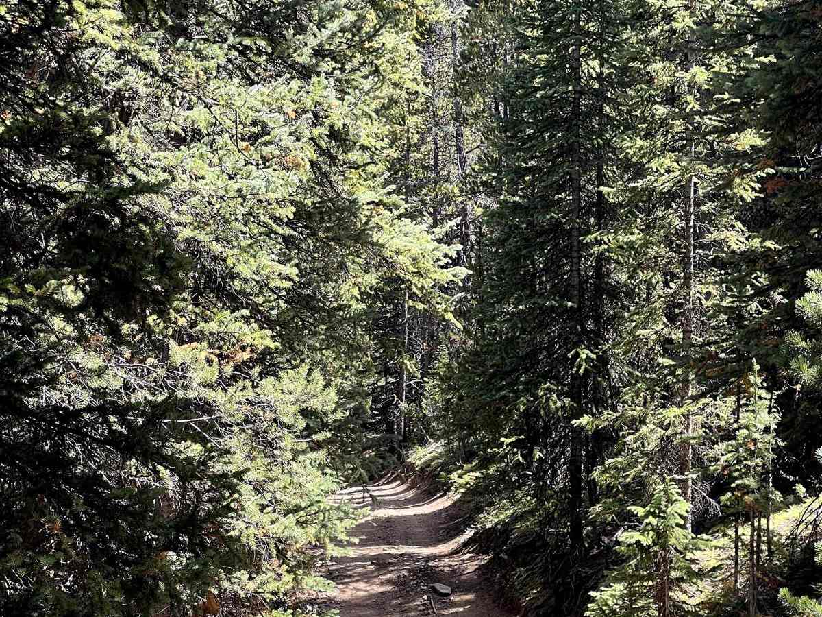 Summit Gulch (GH-74) photo 6