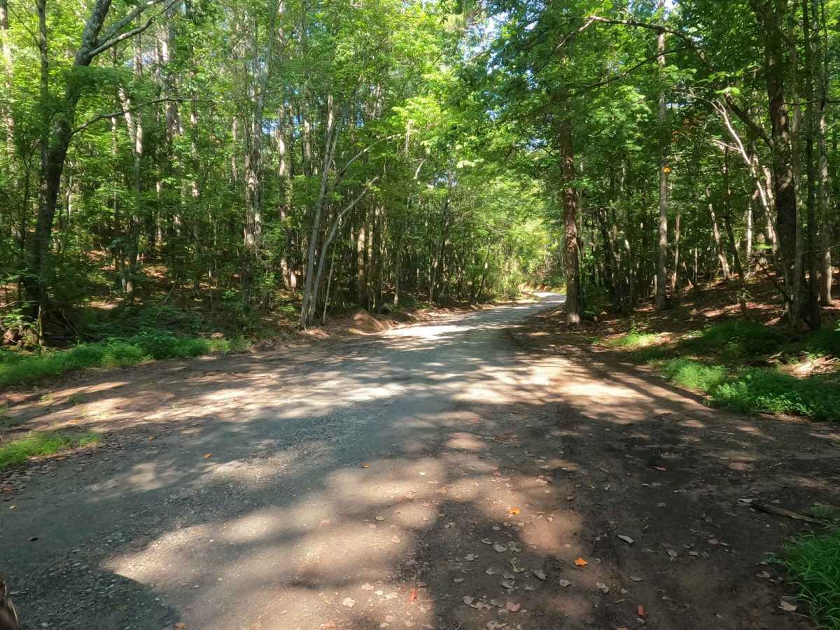 Locust Stake Road photo 5