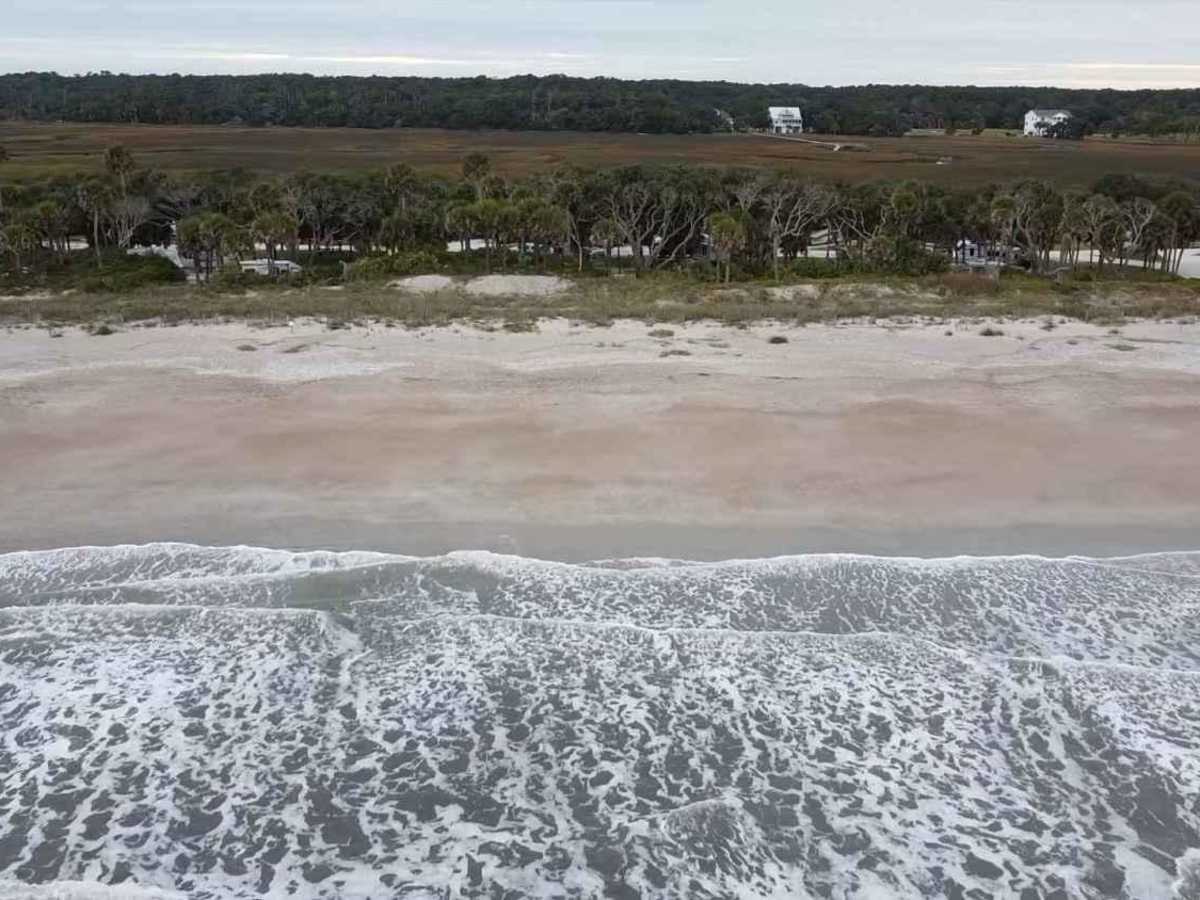SCAR Connector - Edisto photo 2