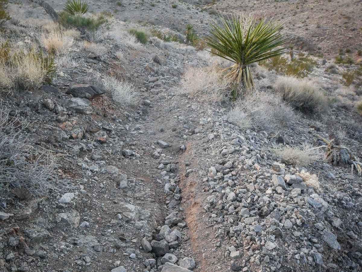 Rock Ridge Single Track photo 4