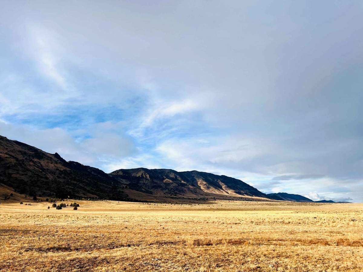 The Back Way to Mann Lake photo 6