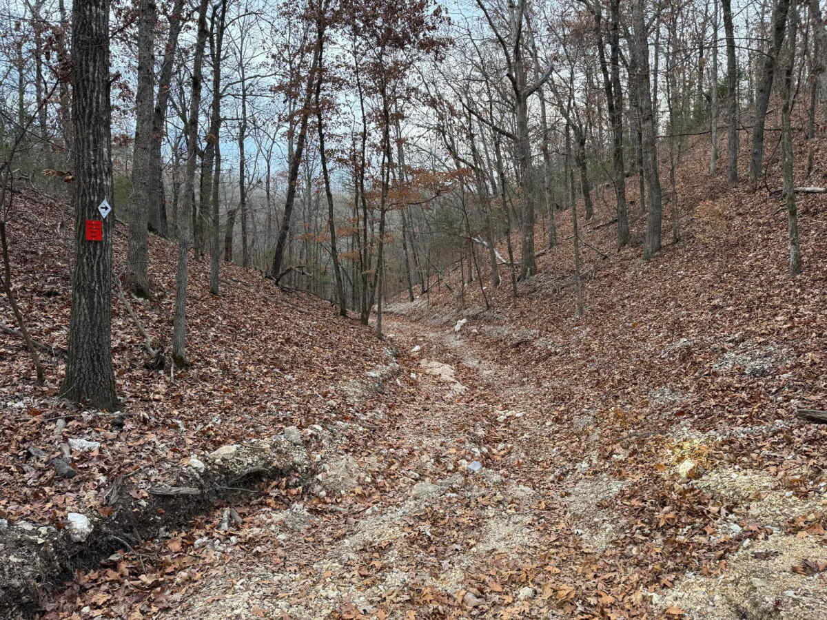 Arch Cave Cliff Drive - 274 photo 6