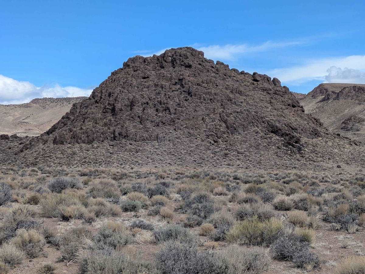 Douglas Spring - 44501 photo 3