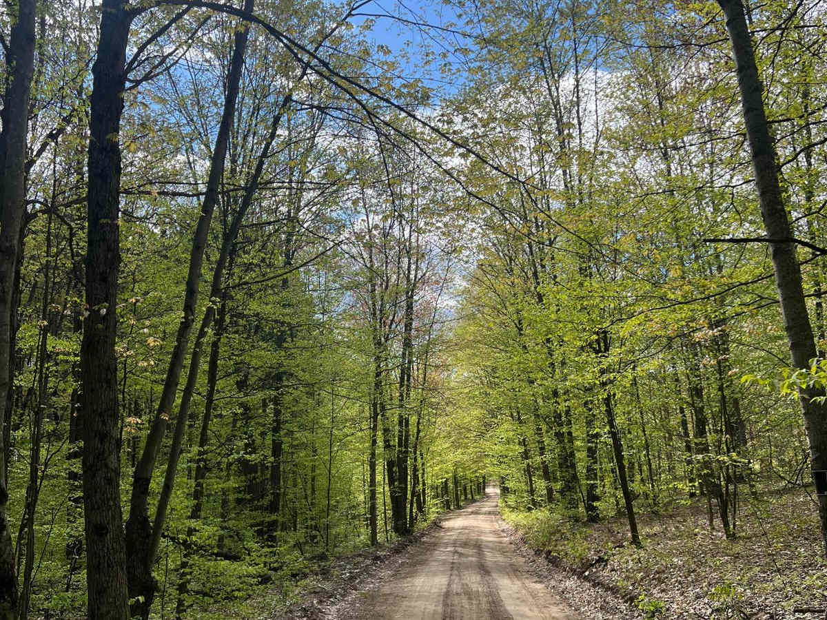 Barrett Road Trail photo 6