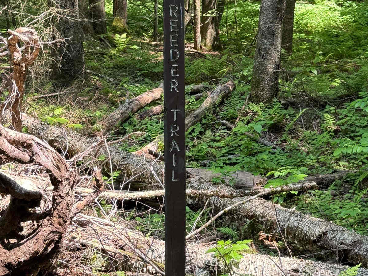 Right Branch Hyner Run Road photo 6