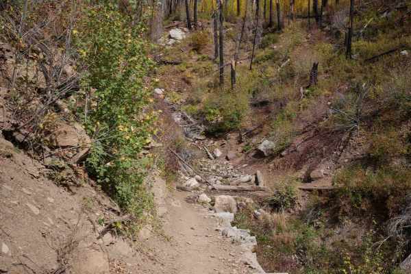 Hermosa Creek ATV