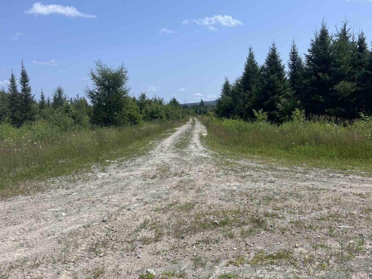 Scott Road photo 5