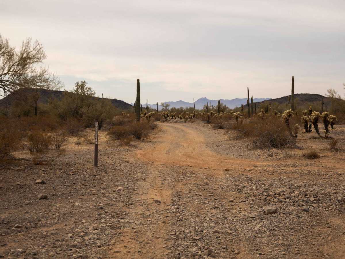 9354/52 trail photo