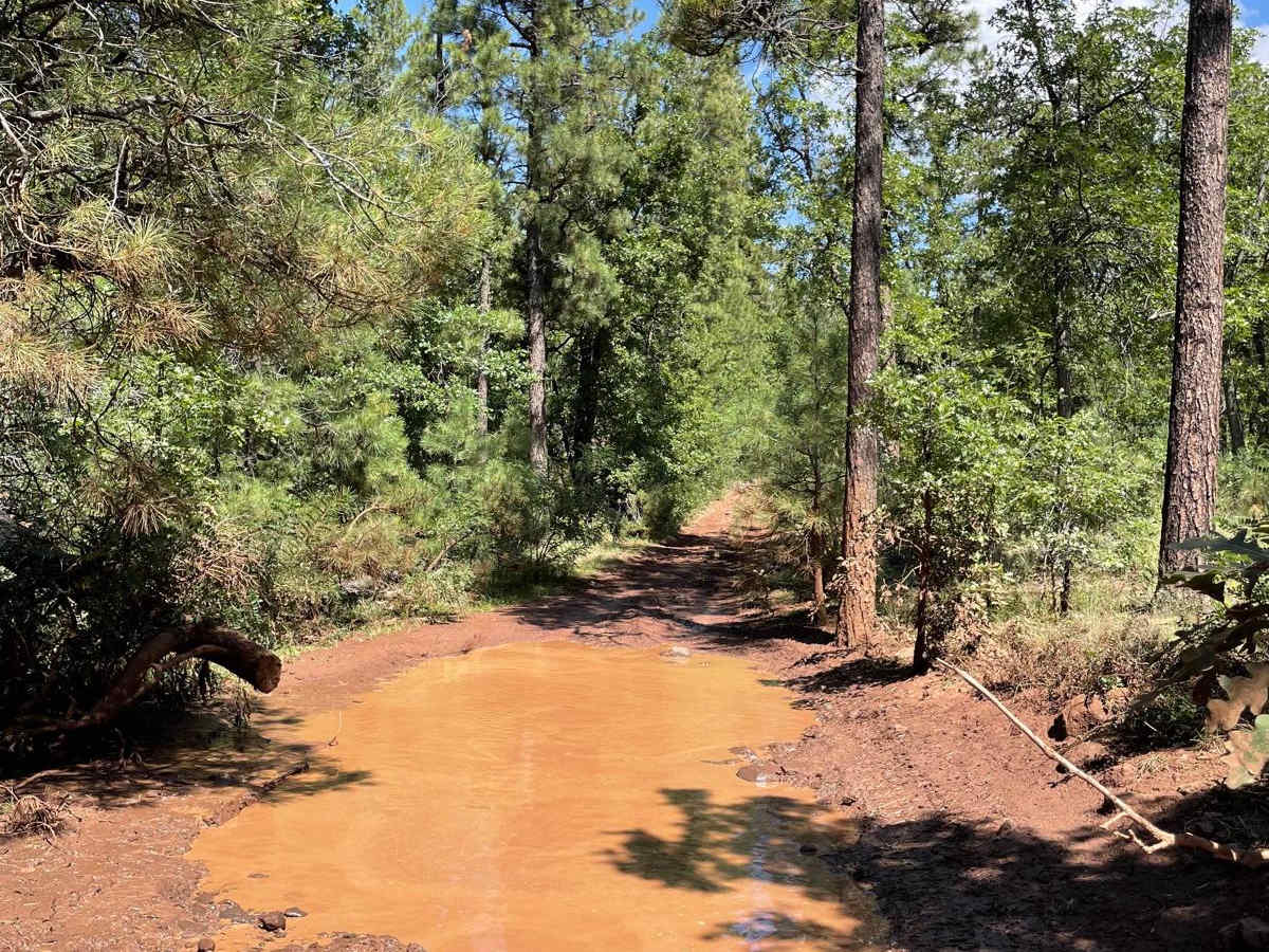 Mud Puddle Lane  trail photo