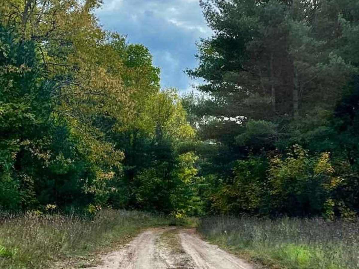 High Rollway Scenic Overlanding Trail 1 photo 3