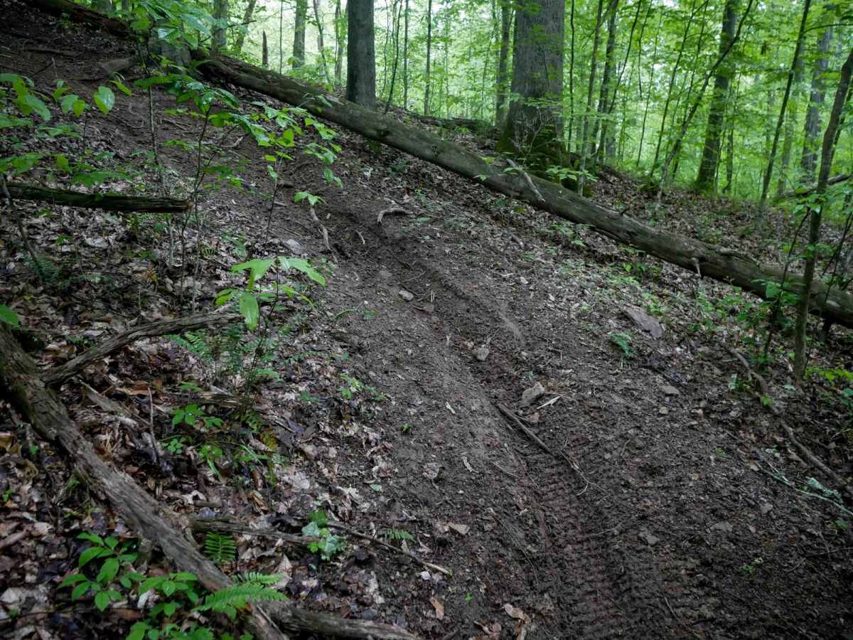 T56 trail photo