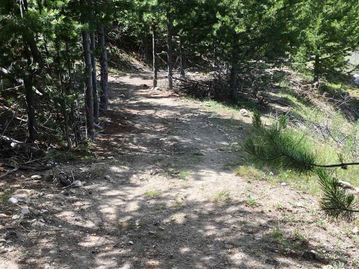 Cold Spring Hill ATV Trail photo 4