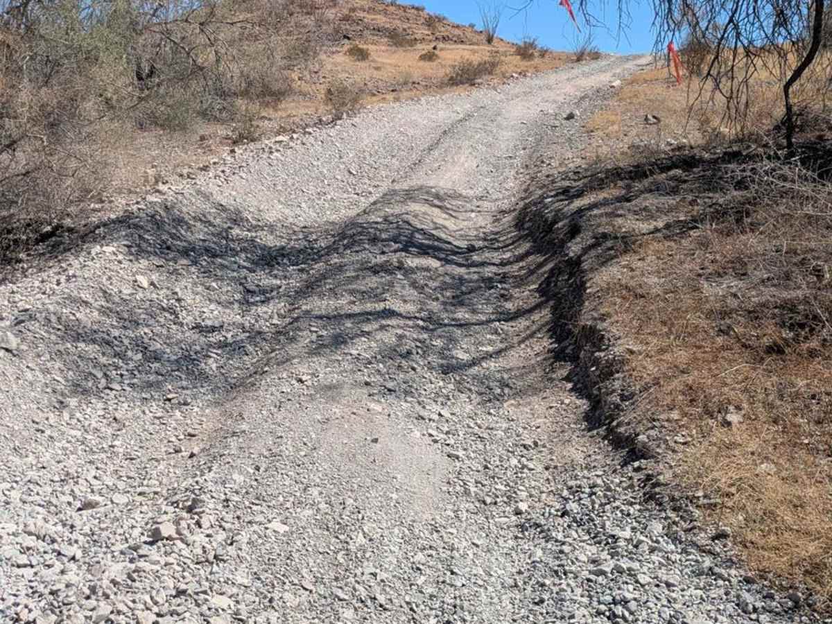 Bosque de Ocotillos trail photo