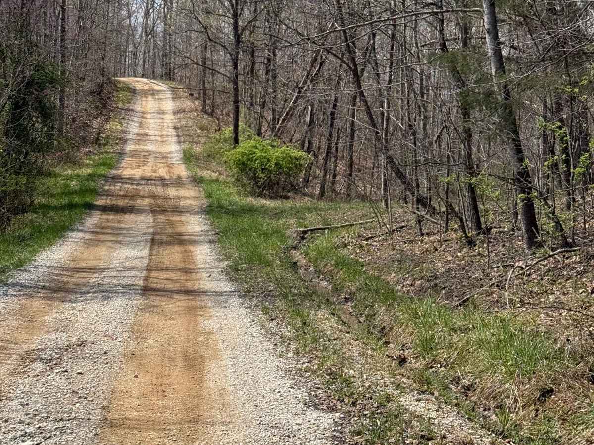 Trail 29 photo 3