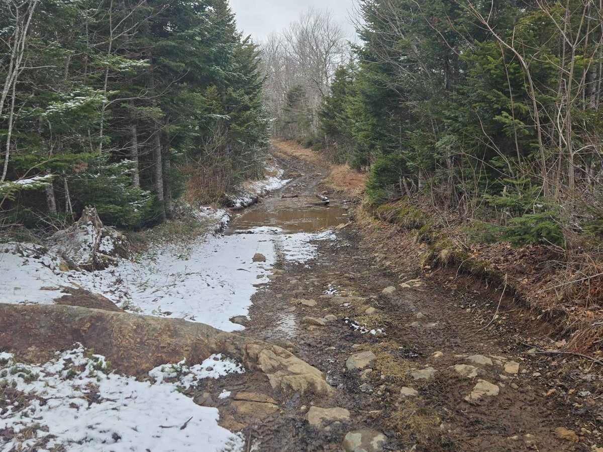 Grist Mill Road - 104 photo 2