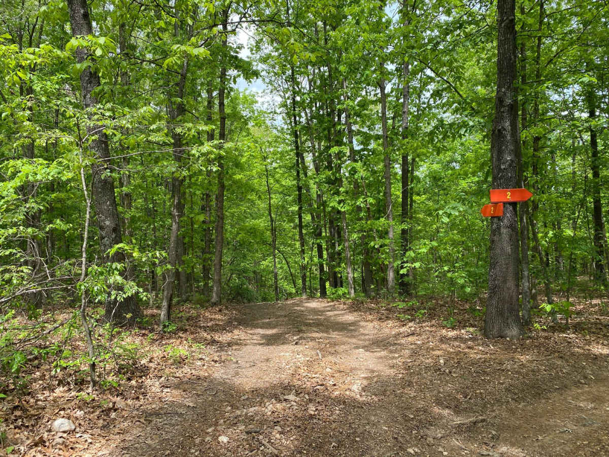 Cut Up trail photo