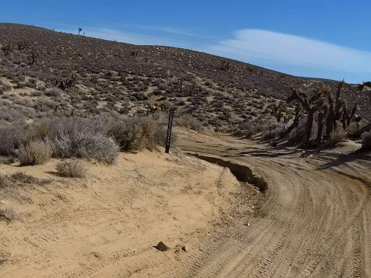 Alphie Springs Wash photo 5