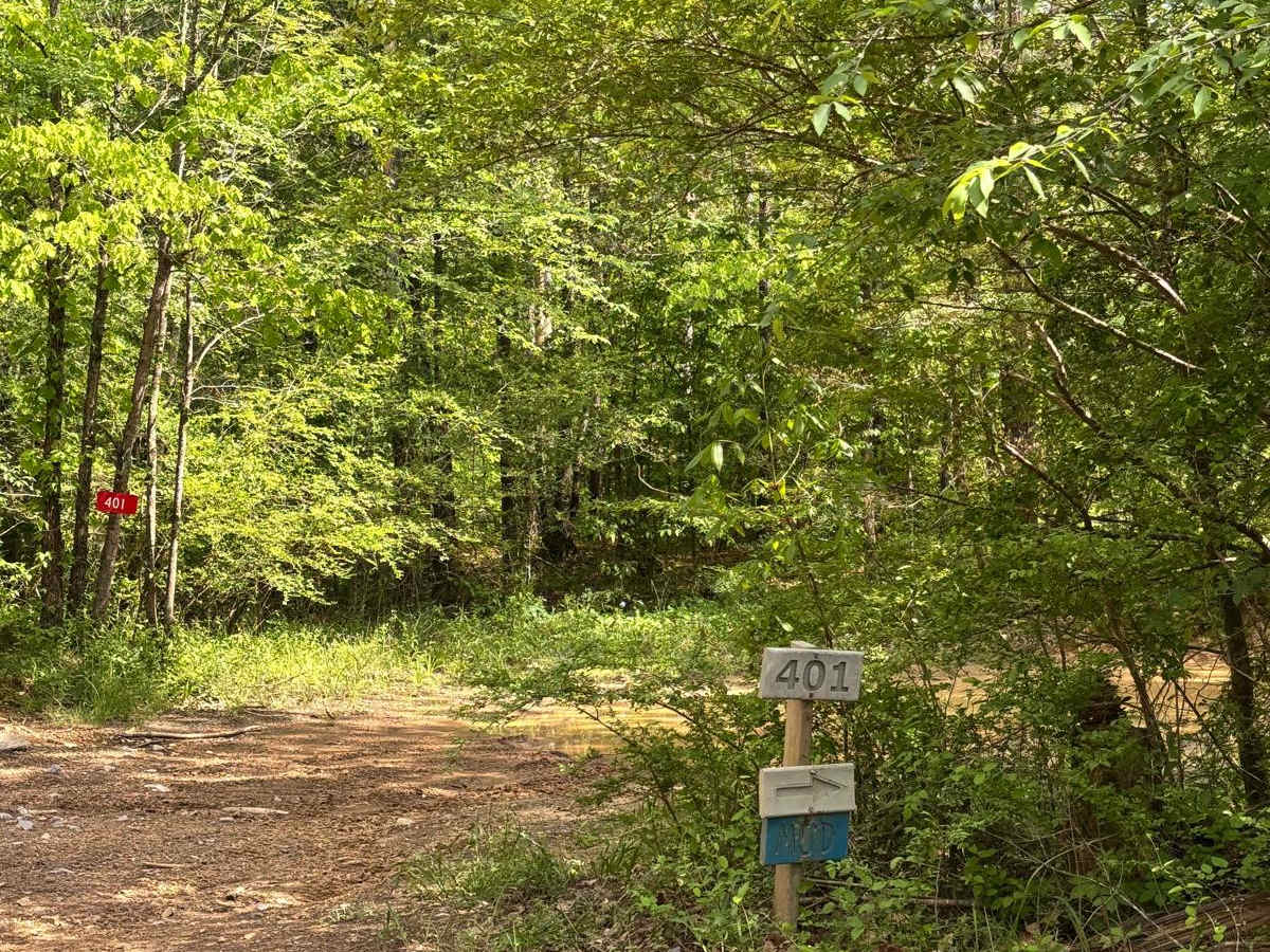 401 Mud trail photo