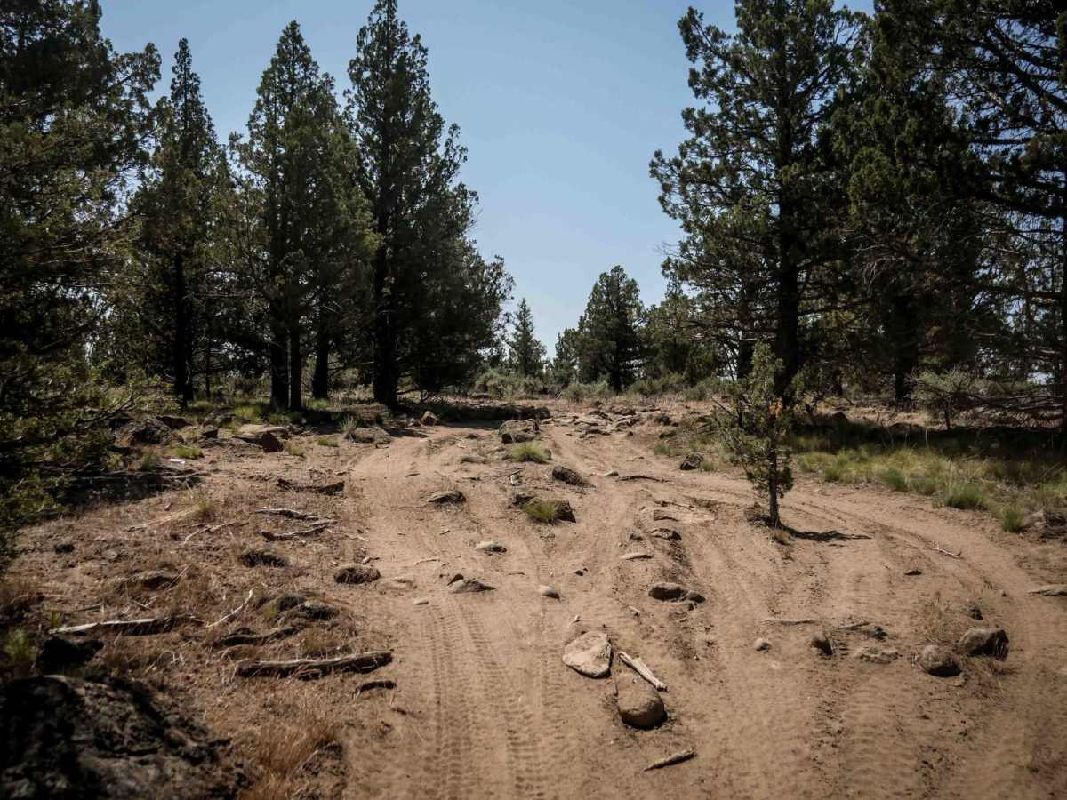 42 trail photo