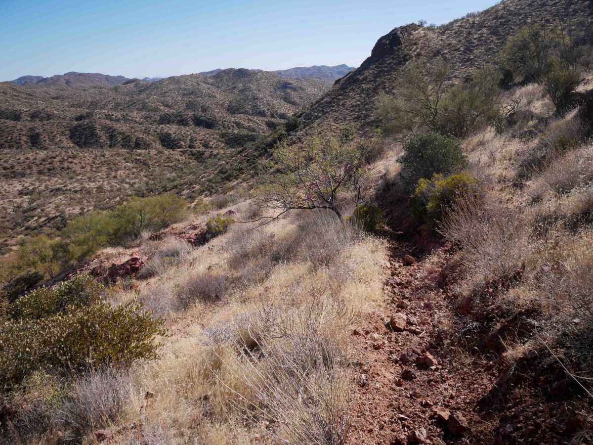 Picacho Singletrack photo 6