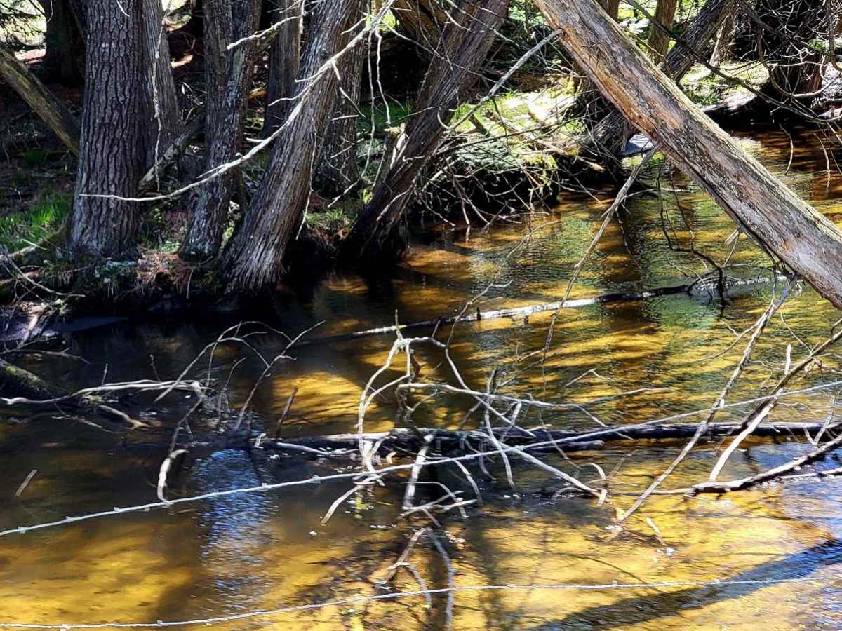 Afton Area/Fisherman Trail Connector photo 5