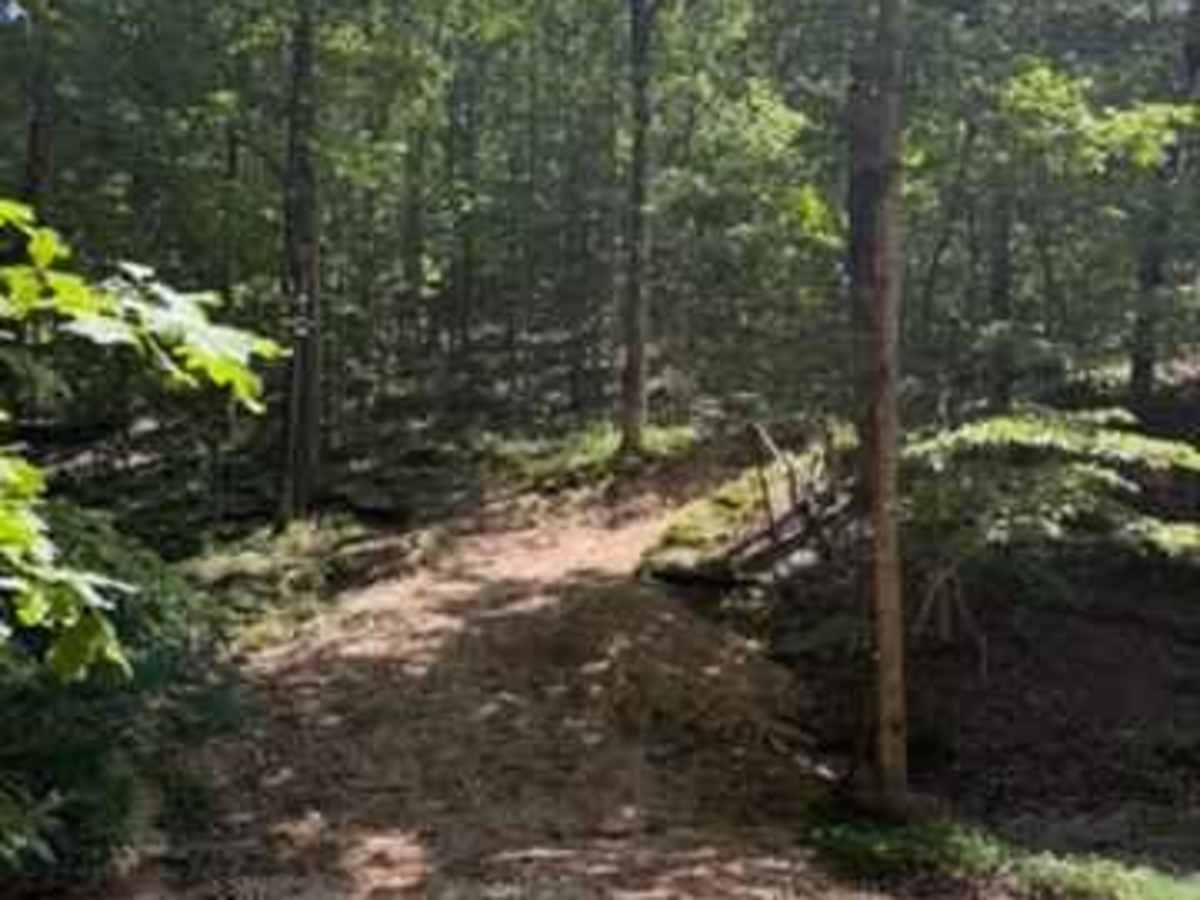 Alli's Trail photo 6