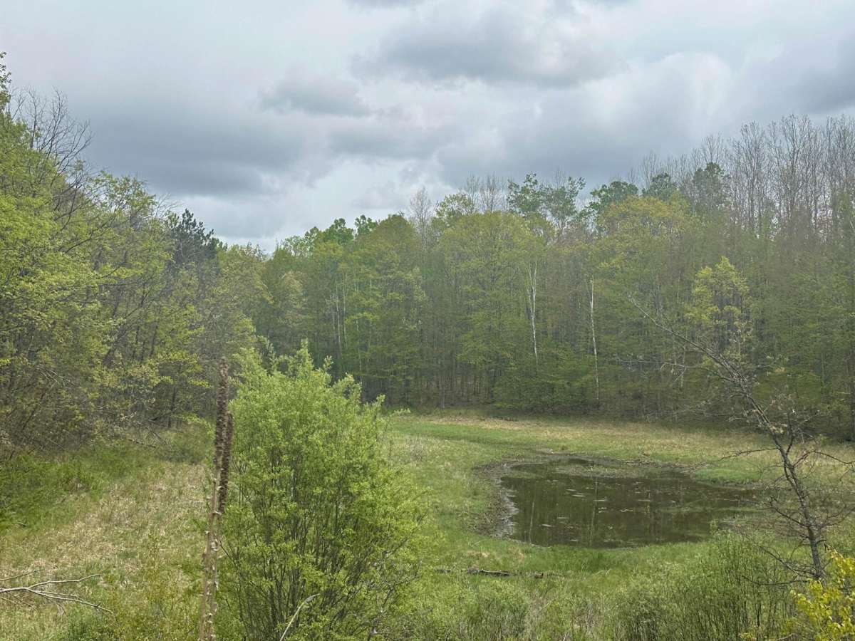 FS 4391 photo 4
